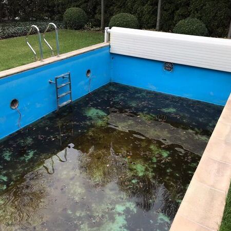 Poolreinigung
