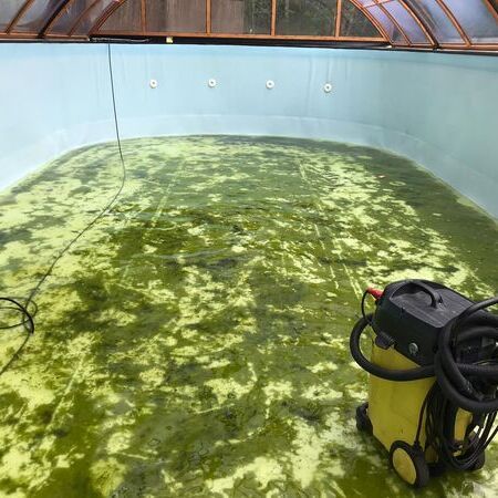 Poolreinigung