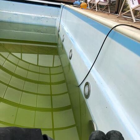 Poolreinigung