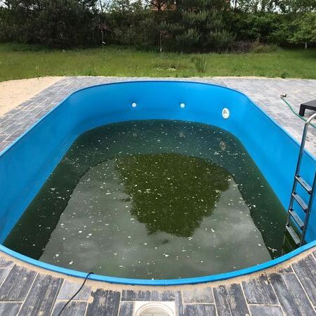Poolreinigung